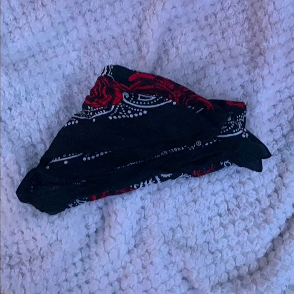 Bandanna - Picture 3 of 3